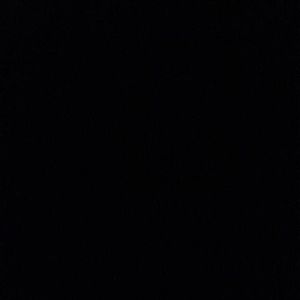 Meet your Posher, Winnie